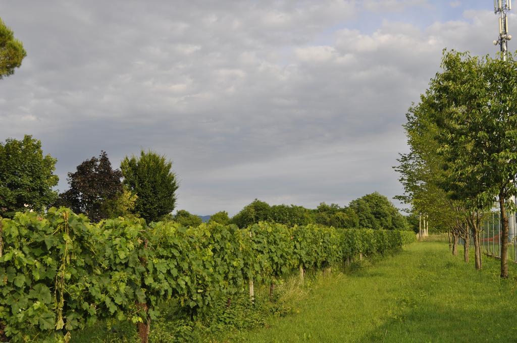 Capriva del Friuli Casa Griunitヴィラ エクステリア 写真