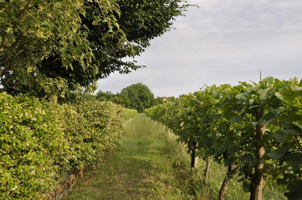 Capriva del Friuli Casa Griunitヴィラ エクステリア 写真